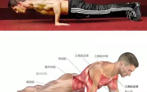 正常人一次做幾個伏地挺身才算合格？怎麼做伏地挺身標准？
