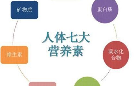 減脂期間到底不吃飯好，還是不吃肉好？