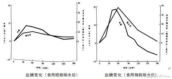 減脂期間到底不吃飯好，還是不吃肉好？