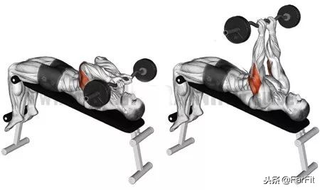 練好肱三頭肌是增粗手臂的關鍵！4種針對肱三頭的長頭鍛鍊方法