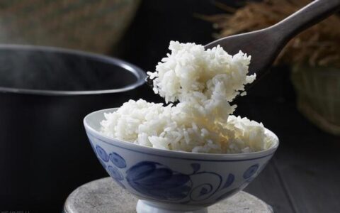 減肥期間怎麼吃主食？幾個主食建議，讓你健康的瘦下來