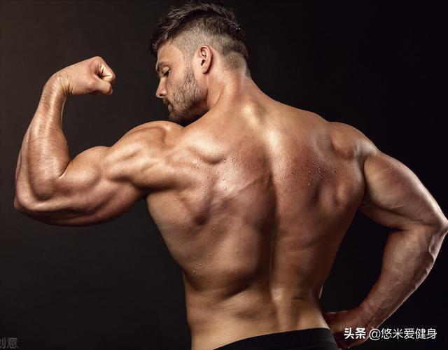 如何鍛鍊三角肌後束？4個動作每周練2次，提升肩部肌肉立體感