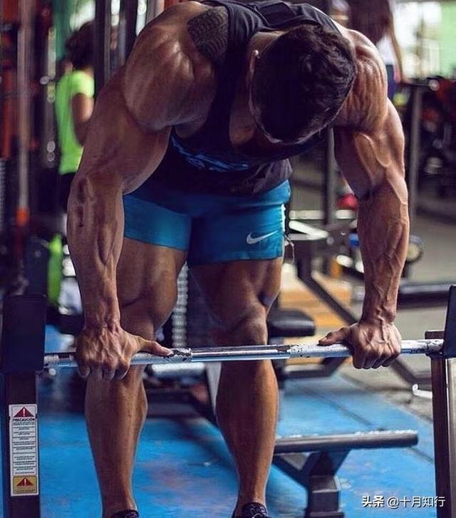 7組全身性常規訓練，虐爆全身各肌群，去練想要練的那塊肌肉